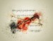 violin-2412357_1280